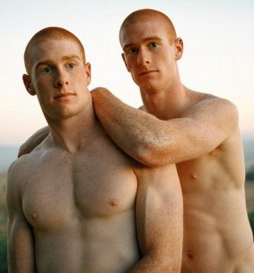 lvdx-gay-jumeaux-gays-du-x-visuel-5-jumeaux-roux