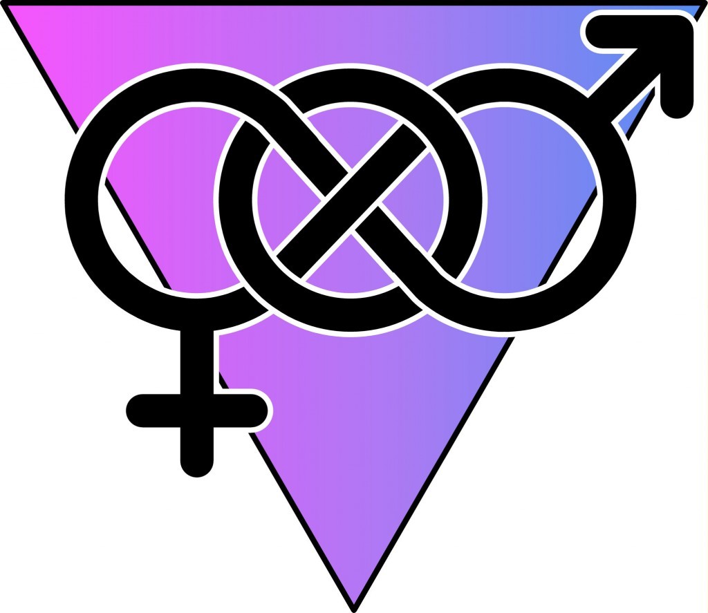 lvdx-bisexualite-la-visuel-8