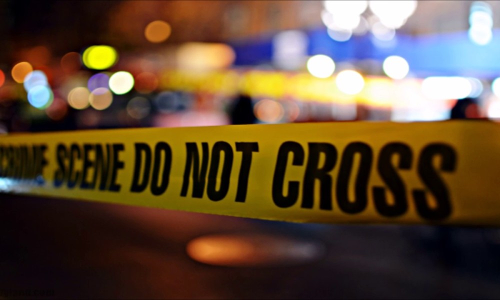 La Fiesty fera pas la fiesta La Voix du X