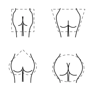 Schéma de formes de fesses